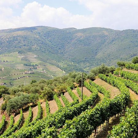 Quinta Do Monte Bravo - Douro - Quarto Duplo Villa Ervedosa do Douro ภายนอก รูปภาพ