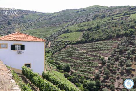 Quinta Do Monte Bravo - Douro - Quarto Duplo Villa Ervedosa do Douro ภายนอก รูปภาพ