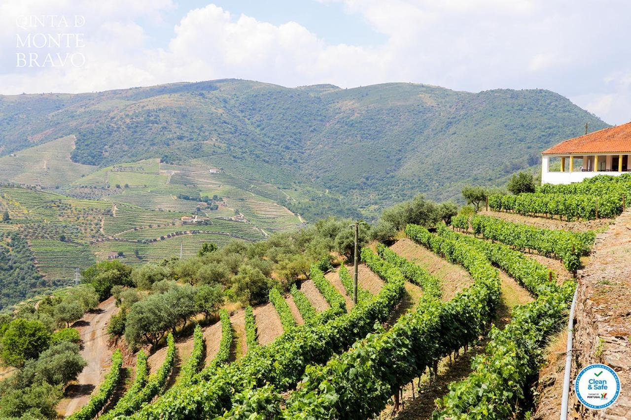 Quinta Do Monte Bravo - Douro - Quarto Duplo Villa Ervedosa do Douro ภายนอก รูปภาพ