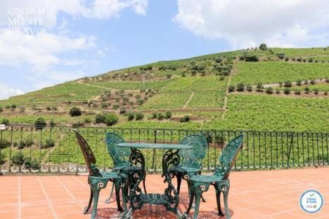 Quinta Do Monte Bravo - Douro - Quarto Duplo Villa Ervedosa do Douro ภายนอก รูปภาพ