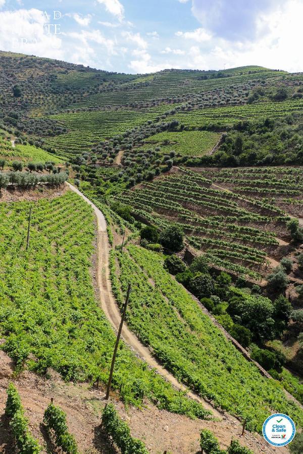 Quinta Do Monte Bravo - Douro - Quarto Duplo Villa Ervedosa do Douro ภายนอก รูปภาพ